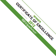 Certificate of Excellence 2012