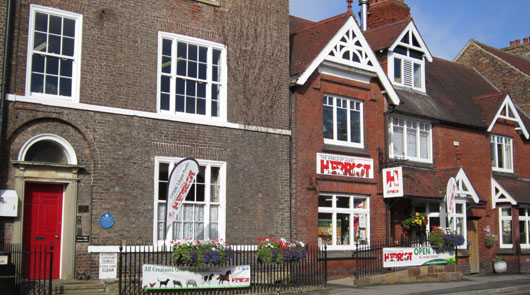 Tour Detail Content Image