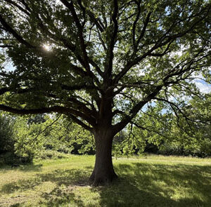 Tour Detail Content Image