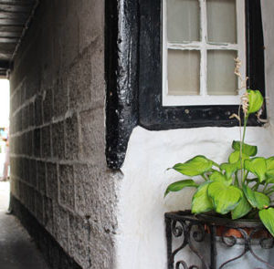 Tour Detail Content Image