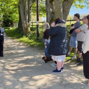 Tour Detail Content Image