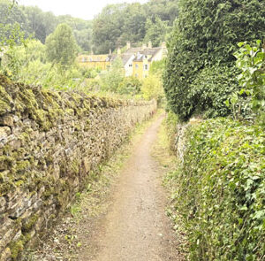 Tour Detail Content Image