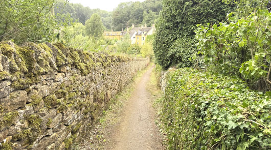 Tour Detail Content Image