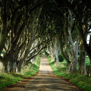 Tour Detail Content Image