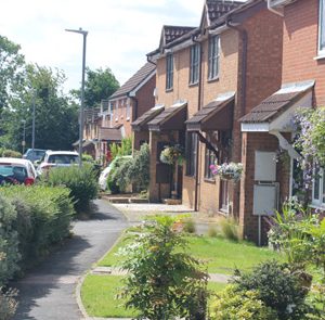 Tour Detail Content Image