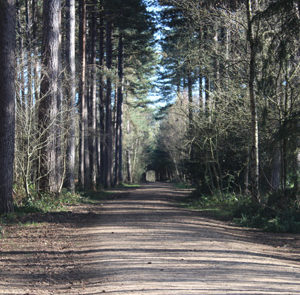 Tour Detail Content Image