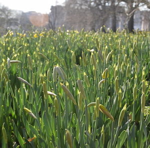 Tour Detail Content Image