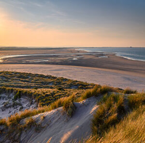 Tour Detail Content Image