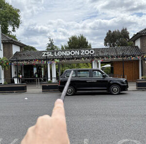 Tour Detail Content Image