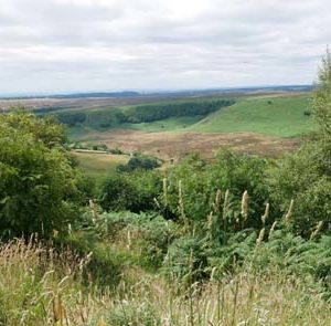 Tour Detail Content Image