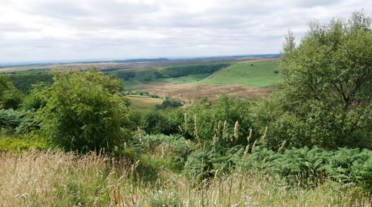 Heartbeat Tour Of Filming Locations Brit Movie Tours